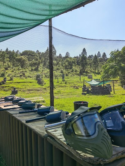 Pine Farms