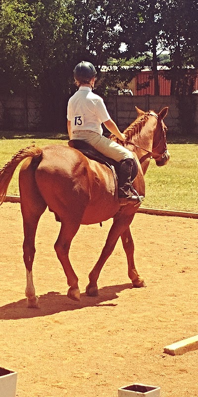 Belka Rusch Stables