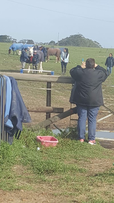Peta's Place Equestrian Centre