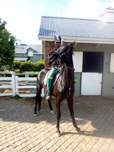 TLC Stables