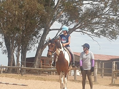 Rodeo Equestrian
