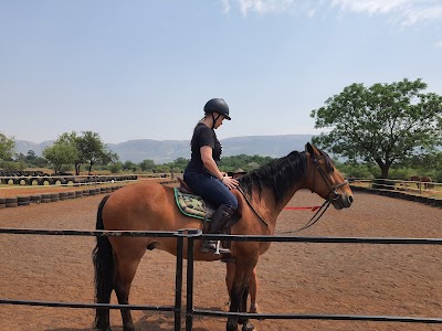 MAESTRO Equestrian Centre