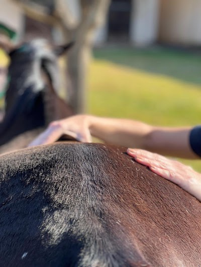 Libratus Vet Physio