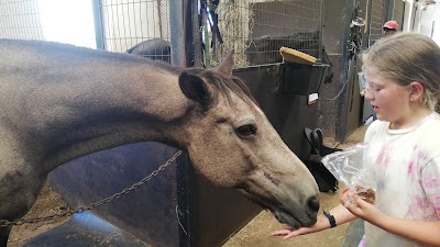 Diamond Creek Stables