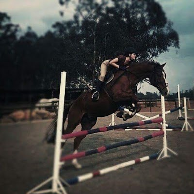 Carlisle Stud and Equestrian Park
