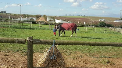 Alba Equestrian Centre, Vissershok Road, Cape Town
