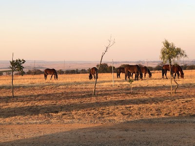Oakwood Stables