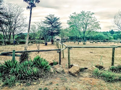 Rivonia Riding Club