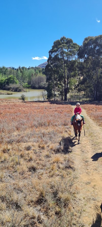 Ventersberg Stables - De Hoop Adventures