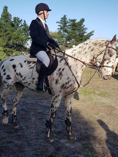 Silverwood Riding School