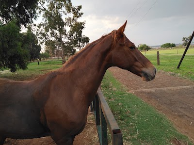 Fairfields Stables