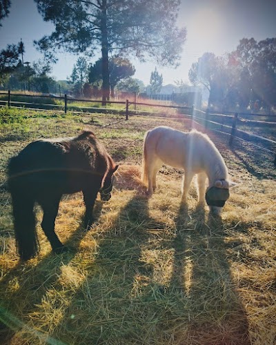 Entwood Stables
