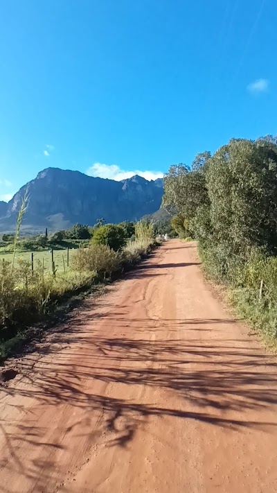 African Saddle & Vine