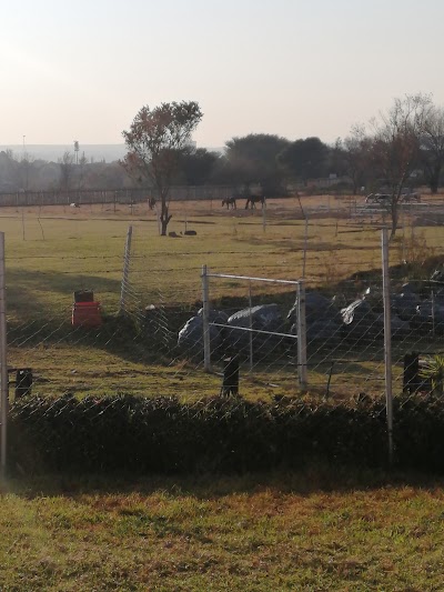 Soweto Equestrian Centre - Enos Mafokate Equestrian Club of Soweto