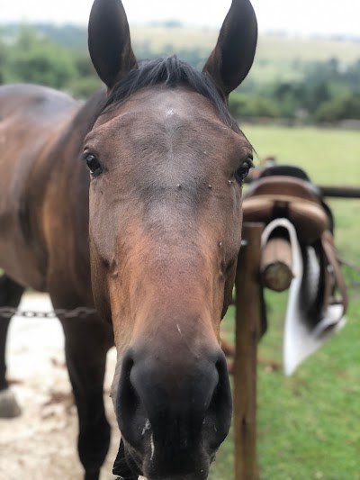 Highlander Equestrian Centre
