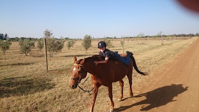 Vasbyt Farms Equestrian Centre