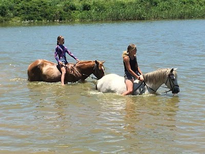 Beacon Bay Horse Riding School