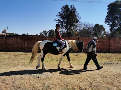 Elpaal Equine