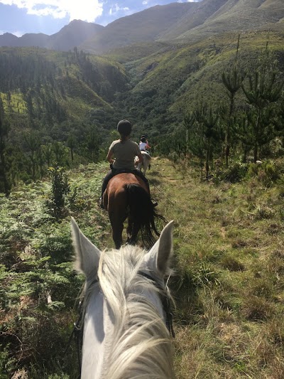 Equine Encounters and Trail Rides