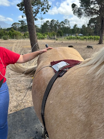 The Equine Emporium