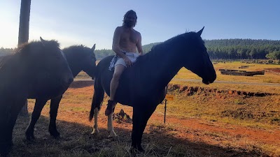 Kaapsehoop Horse Trails