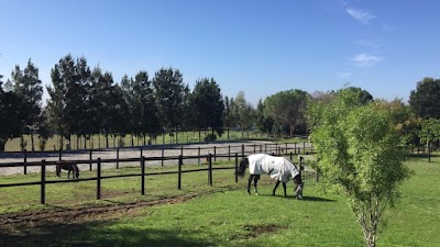 Dreamweaver Ranch