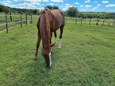 Mount Riviere Stables
