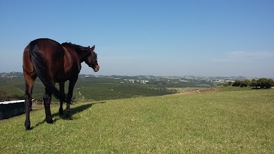 Oaklands Equestrian Estate