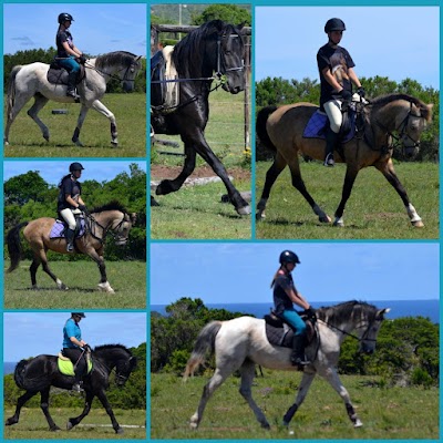Brycedale Equestrian Academy