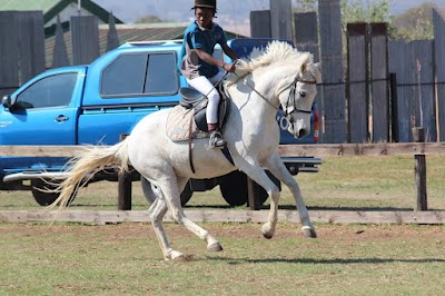 The IEA Elite
