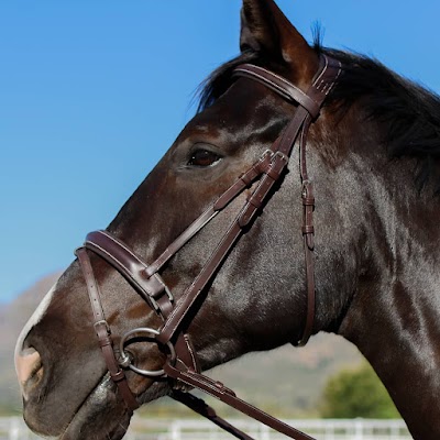 Tack and Leather