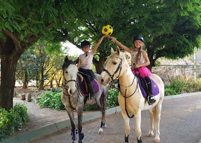Seyunique Equestrian