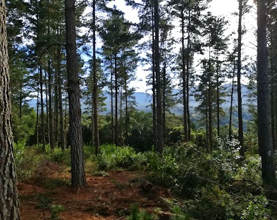 Garden Route Horse Trails