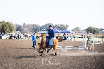 Sir Sherry Stables