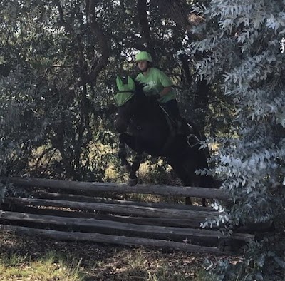 New heights equestrian