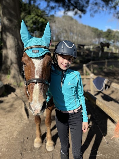 SJ Equestrian