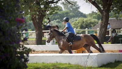 Southern Riding Centre