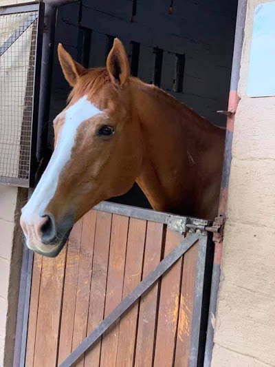 KEY Equestrian