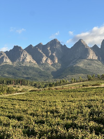 Bainskloof Horseriding Adventures