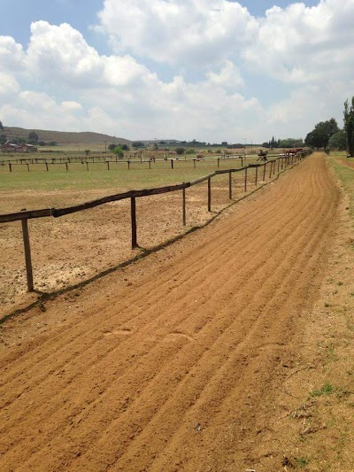 Regents View Equestrian