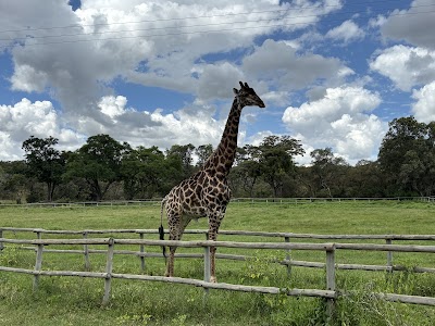 Colin's Horseback Africa & Wildlife Education Programs