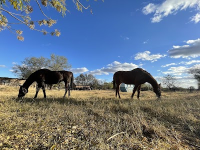 Countryside Equestrian Centre