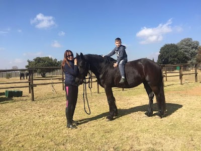 Van Ryn Equestrian Centre