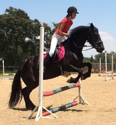 Honeydew Equestrian Centre