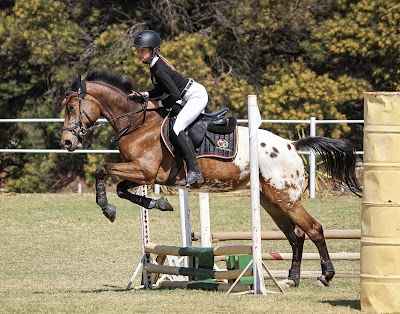 New Way Equiplex